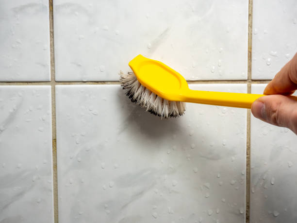 Best Emergency Mold Remediation in West Union, IA