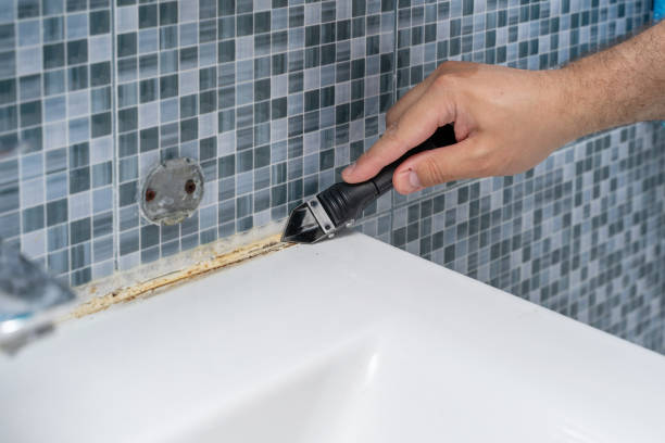 Best Mold Testing and Inspection Services in West Union, IA